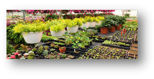 HERBAL GARDEN